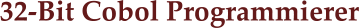 32-Bit Cobol Programmierer