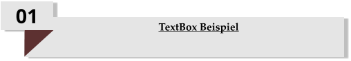01 TextBox Beispiel