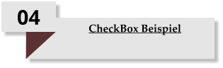 04 CheckBox Beispiel